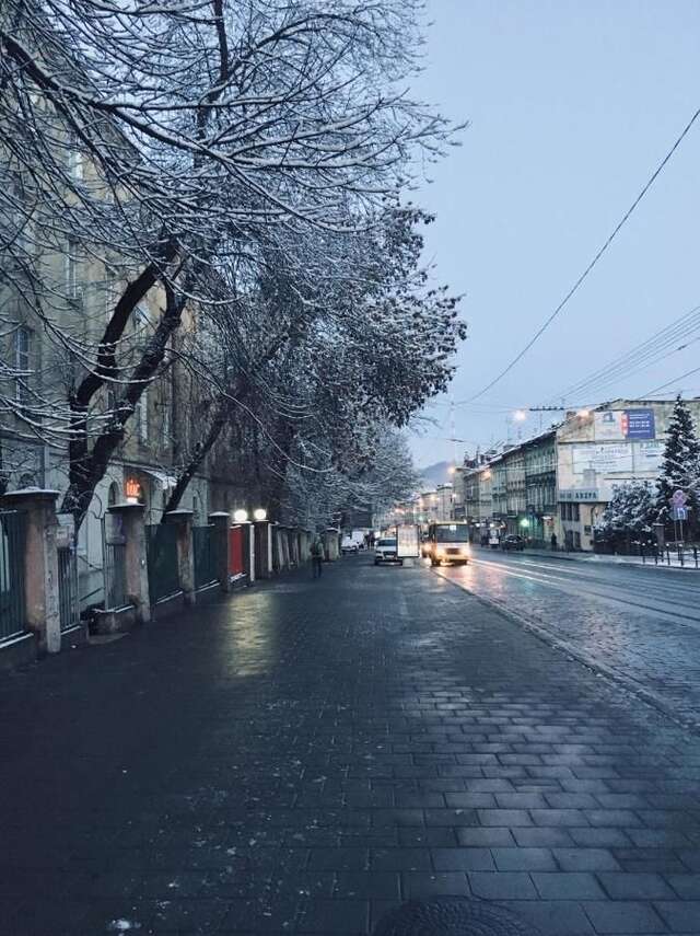 Апартаменты Lviv-centre apartments Gorodotska 44 Львов-17